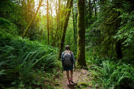 Foto de Senderista femenina solista caminando a través de un frondoso bosque en el hermoso noroeste del Pacífico. Estilo de vida al aire libre foto - Imagen libre de derechos
