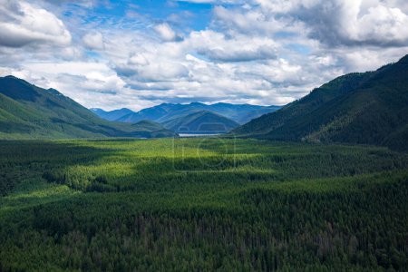 Téléchargez les photos : Beau paysage de montagne dans la forêt nationale Snoqualmie de l'État de Washington. Vue de dessus d'une forêt naturelle de pins dans le Pacifique nord-ouest des États-Unis. Beauté naturelle d'un fond pittoresque - en image libre de droit