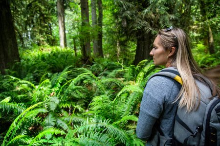 Foto de Vista lateral del Senderista Femenino caminando a través de un exuberante bosque en el hermoso Noroeste del Pacífico lleno de helechos y árboles musgosos. Estilo de vida al aire libre foto - Imagen libre de derechos