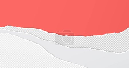 Illustration for Torn, ripped white and grey paper with soft shadow are on red background for text or ad. Vector illustration. - Royalty Free Image