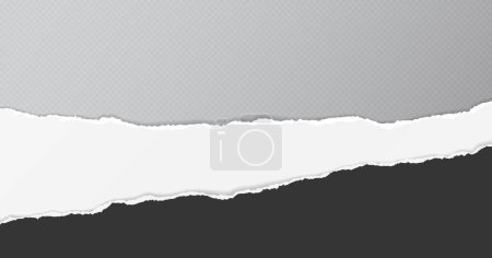 Illustration for Black and white paper with torn edges and soft shadow are on grey squared background for text. Vector illustration. - Royalty Free Image