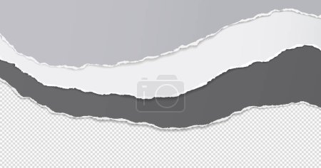 Illustration for Torn, ripped white and grey paper with soft shadow are on squared background for text or ad. Vector illustration. - Royalty Free Image