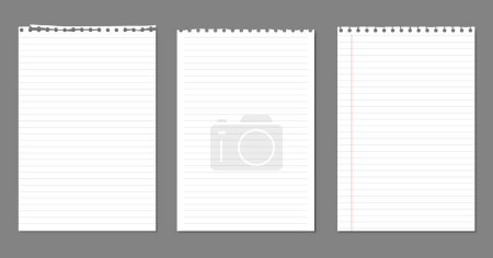Illustration for Set of torn, lined notebook paper with soft shadow are on dark grey background for text. Vector illustration. - Royalty Free Image