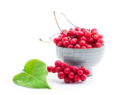 Schisandra  chinensis medicinal herb fruit with leaf isolated on white 