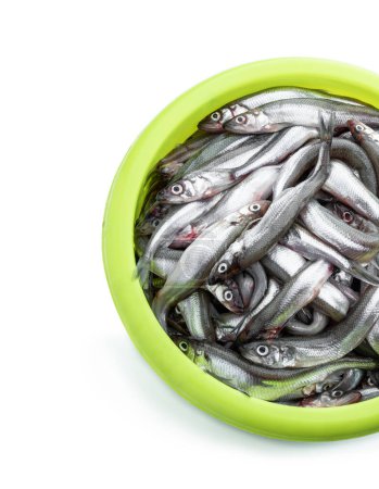 Fresh  raw european smelt in a green bowl isolated on white 