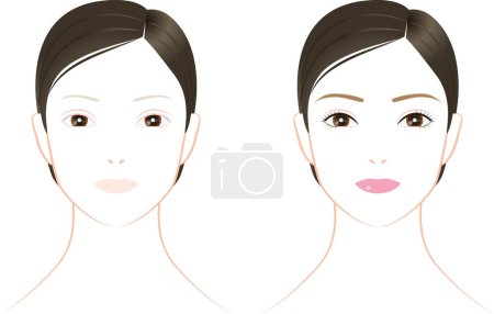 woman's face. A bare face and a face with makeup. vector illustration