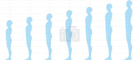 Téléchargez les illustrations : Équilibre hauteur humaine vu de côté. Illustration d'un corps masculin avec 6 têtes, 7 têtes, 8 têtes et 9 têtes. - en licence libre de droit