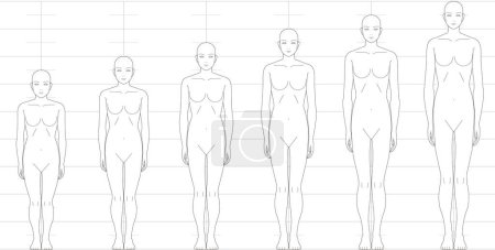 Human height balance seen from the front. Illustration of a female figure with 6.5 heads, 7 heads, 8 heads, and 9 heads.