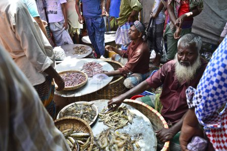 Photo for Fishermen displays fish for sales at Kaikkarateke weekly market, Narayanganj district in Bangladesh, On June 21, 2015 - Royalty Free Image