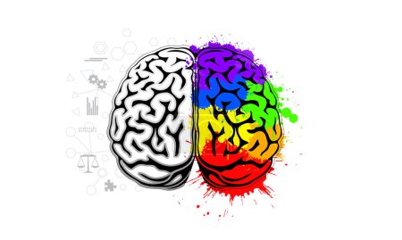 Illustration des menschlichen Gehirns zur Darstellung von Kreativität und Logikkonzept