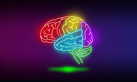 Foto de Ilustración de lóbulos del cerebro en un estilo de luz de neón brillante - Imagen libre de derechos