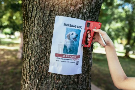 Photo for Children are looking for a missing dog, putting up posters. - Royalty Free Image