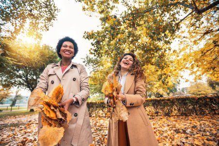 Téléchargez les photos : Deux jeunes amies souriantes jetant des feuilles dans le parc pleines de couleurs automnales. Ils rient et s'amusent - en image libre de droit