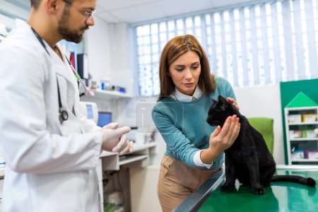 Foto de Joven, un veterinario de profesión, examina a un gato en la clínica veterinaria moderna.Joven propietario ayuda a calmar a la mascota y habla con el veterinario especialista. - Imagen libre de derechos