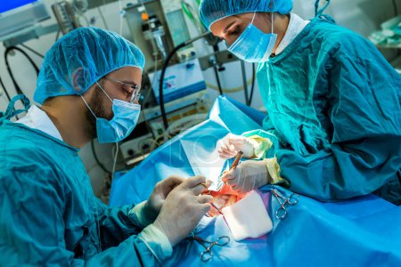Téléchargez les photos : Équipe chirurgicale concentrée opérant un patient dans un bloc opératoire - en image libre de droit