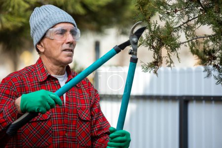Téléchargez les photos : Jardinier taille arbre avec cisailles à élagage - en image libre de droit