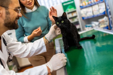 Photo for Young man, a veterinarian by profession, examines a cat in modern vet clinic.Young owner helps to calm down the pet and talks with the vet specialist. - Royalty Free Image