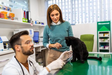 Foto de Joven, un veterinario de profesión, examina a un gato en la clínica veterinaria moderna.Joven propietario ayuda a calmar a la mascota y habla con el veterinario especialista. - Imagen libre de derechos