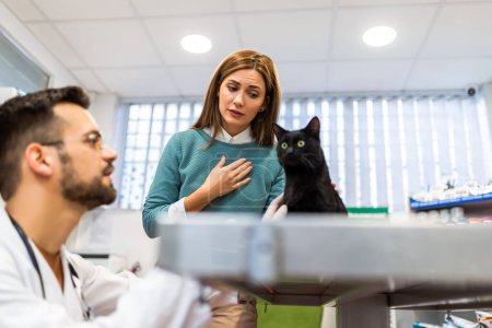 Young man, a veterinarian by profession, examines a cat in modern vet clinic.Young owner helps to calm down the pet and talks with the vet specialist.