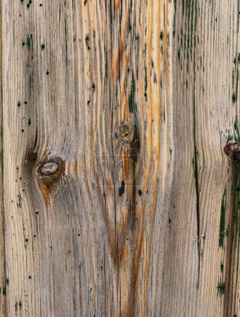 Natural Weathered Rustic Wooden Background with Timber Knotted and Damaged Rows closeup
