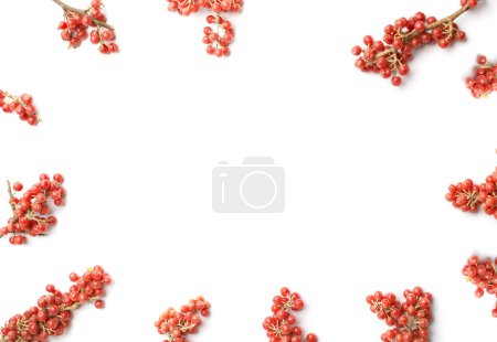 Border of Buffaloberry or Shepherdia, healthy food frame on white background