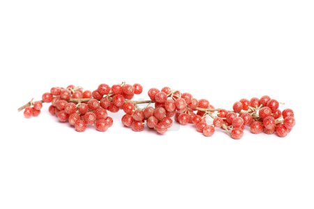 Red Buffaloberry or Soapberry on white background