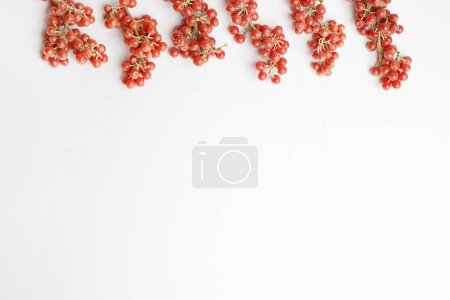 Red berries border on white background. Buffaloberry or Shepherdia