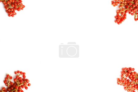 Buffaloberry frame isolated on white background