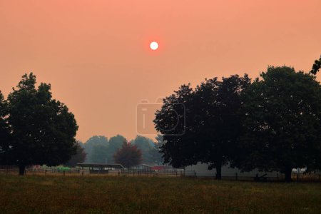 A glowing sun is diffused by smokey skies during wild fires during dry Spring months. 