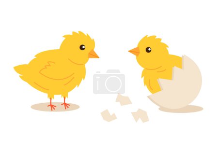 Ilustración de Pollitos aislados sobre fondo blanco. Pollitos de dibujos animados amarillos recién nacidos para el diseño de Pascua. Ilustración vectorial - Imagen libre de derechos