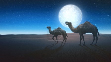 Téléchargez les photos : Chameau traversant le désert avec un fond de scène de nuit - en image libre de droit