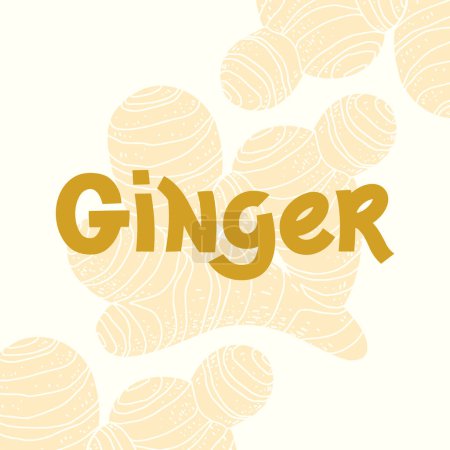Illustration for Ginger root plant and vector hand written text. Spicy herb original design. Kitchen healthy herbs and spices for cooking. Simple script lettering. Handwriting for banner, poster, product label. - Royalty Free Image