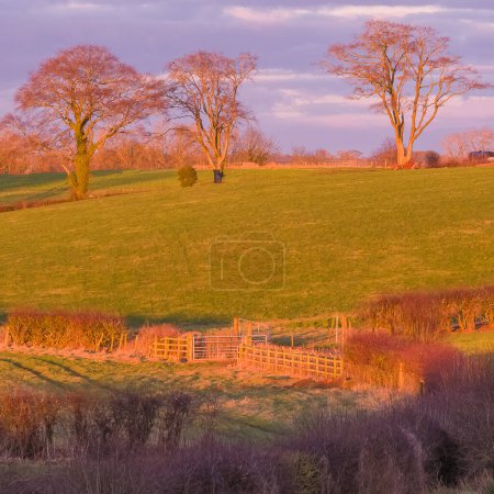 Photo for Beautiful Scottish Farmlands with farming fields  at the heart of Burns country at Perceton Mains between Stewarton and Irvine in Scotland. - Royalty Free Image