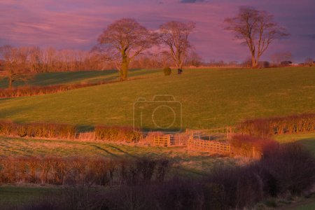 Beautiful Scottish Farmlands with farming fields and gates at sunset at the heart of Burns country at Perceton Mains between Stewarton and Irvine in Scotland.