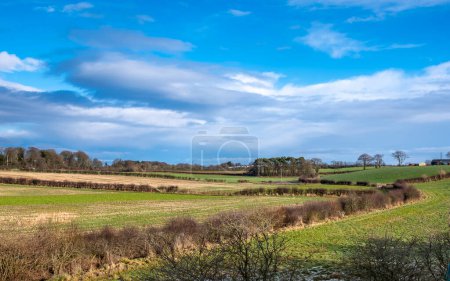 Photo for Scottish farmland near Stewart East Ayrshire - Royalty Free Image