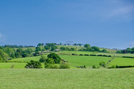 Téléchargez les photos : Belle colline écossaise avec des arbres et des haies au-dessus Howwood dans le Renfrewshire - en image libre de droit