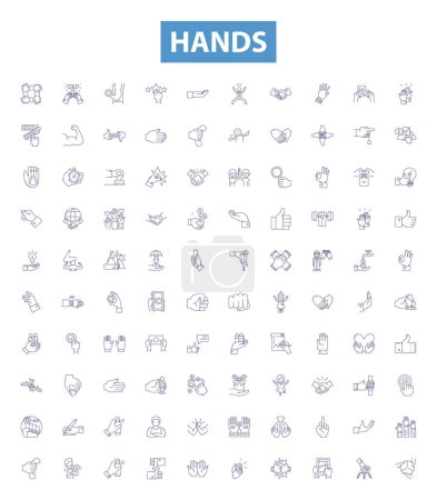 Illustration for Hands line icons, signs set. Collection of Palms, Clenched, Reach, Squeeze, Shake, Grasp, Fingers, Gloves, Nails outline vector illustrations. - Royalty Free Image