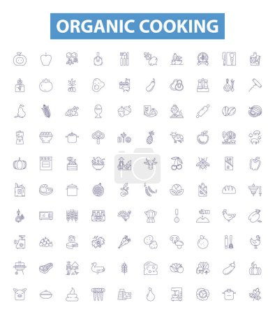 Illustration for Organic cooking line icons, signs set. Collection of Organic, Cooking, Cuisine, Dining, Healthy, Vegan, Plant Based, Biodynamic, Farm To Table outline vector illustrations. - Royalty Free Image