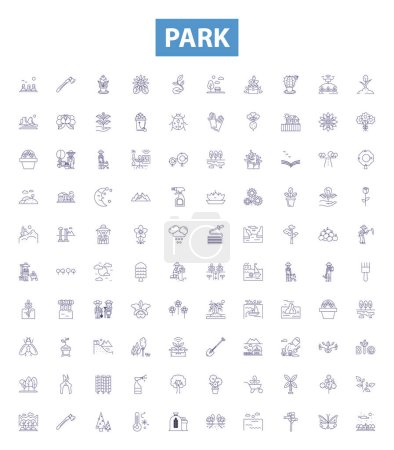 Illustration for Park line icons, signs set. Collection of Park, Parkland, Amusement, Recreation, Forest, Nature, Trails, Picnic, Open space outline vector illustrations. - Royalty Free Image