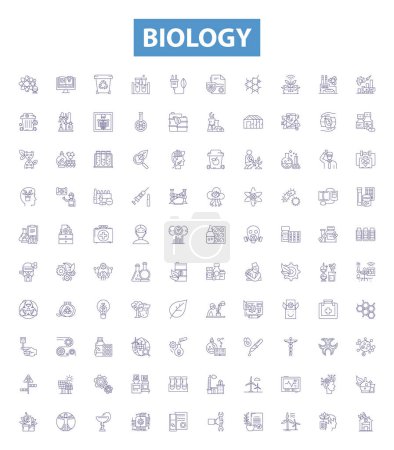 Illustration for Biology line icons, signs set. Collection of Organism, Cell, Genetics, Evolution, Ecology, Biochemistry, Microbiology, Photosynthesis, Mitosis outline vector illustrations. - Royalty Free Image