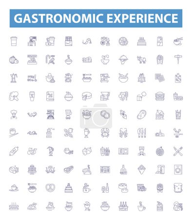 Illustration for Gastronomic experience line icons, signs set. Collection of Cuisine, Epicurean, Delightful, Palatable, Savory, Tasty, Flavorful, Exquisite, Appetizing outline vector illustrations. - Royalty Free Image