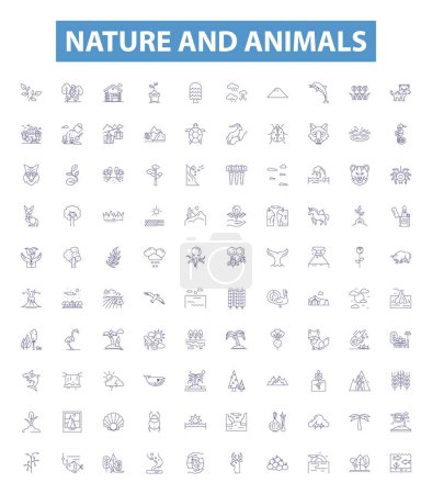 Illustration for Nature and animals line icons, signs set. Collection of Nature, Animals, Fauna, Flora, Wildlife, Habitat, Ecosystem, Birds, Mammals outline vector illustrations. - Royalty Free Image