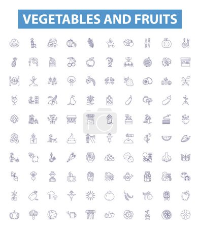 Illustration for Vegetables and fruits line icons, signs set. Collection of Carrots, Tomatoes, Apples, Cabbage, Oranges, Peas, Potatoes, Bananas, Lettuce outline vector illustrations. - Royalty Free Image