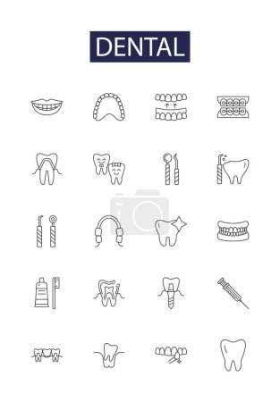 Téléchargez les illustrations : Icônes et signes vectoriels de ligne dentaire. Cavité, Brossage, soie dentaire, orthodontie, couronnes, tartre, fenouillement, illustration vectorielle d'hygiène - en licence libre de droit