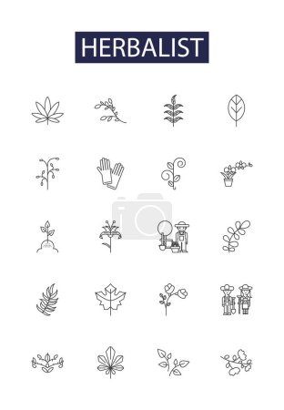 Illustration for Herbalist line vector icons and signs. Herbalism, Herbs, Herbology, Botany, Medicinal, Plants, Remedies, Natural vector outline illustration set - Royalty Free Image