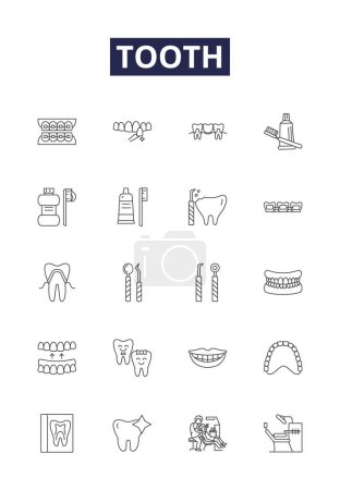 Illustration for Tooth line vector icons and signs. Dental, Dentition, Enamel, Toothache, Cavity, Incisor, Molar, Canine vector outline illustration set - Royalty Free Image