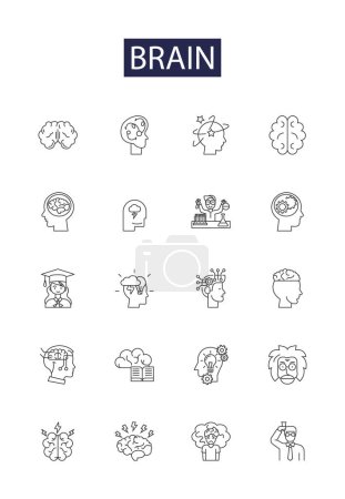 Ilustración de Iconos y signos vectoriales de línea cerebral. corteza, neuronas, pensar, gris, memoria, aprendizaje, intelecto, cerebelo vector esquema ilustración conjunto - Imagen libre de derechos
