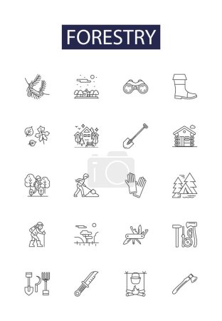 Illustration for Forestry line vector icons and signs. forestry, timber, forestrymanage, lumbering, woodlands, silviculture, reforestation, arboriculture vector outline illustration set - Royalty Free Image