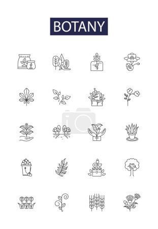 Illustration for Botany line vector icons and signs. Photosynthesis, Reproduction, Taxonomy, Genetics, Ecological, Cultivation, Bryophytes, Mycology vector outline illustration set - Royalty Free Image