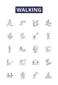Walking line vector icons and signs. Striding, Stepping, Shuffling, Meandering, Ambulating, Perambulating, Wandering, Pacing vector outline illustration set Poster #645991214